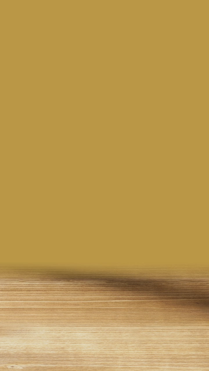 Winston Churchill «The Original Series»